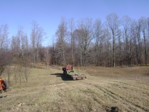 this is looking east. the back of this land has some really nice trees