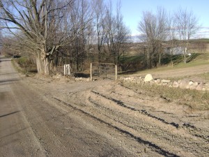 this is the front of the property with the trees and gate