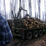 keithlucas job putting wood on trailer nice